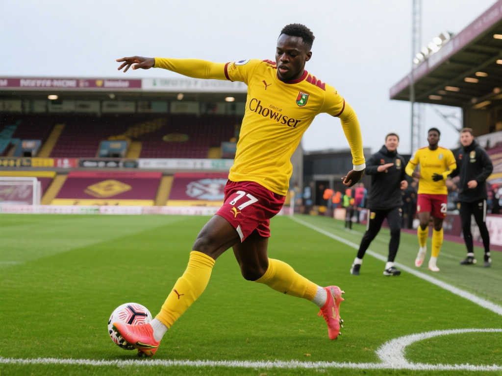 也使得其他 也使得其他